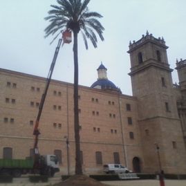 grúas moviles